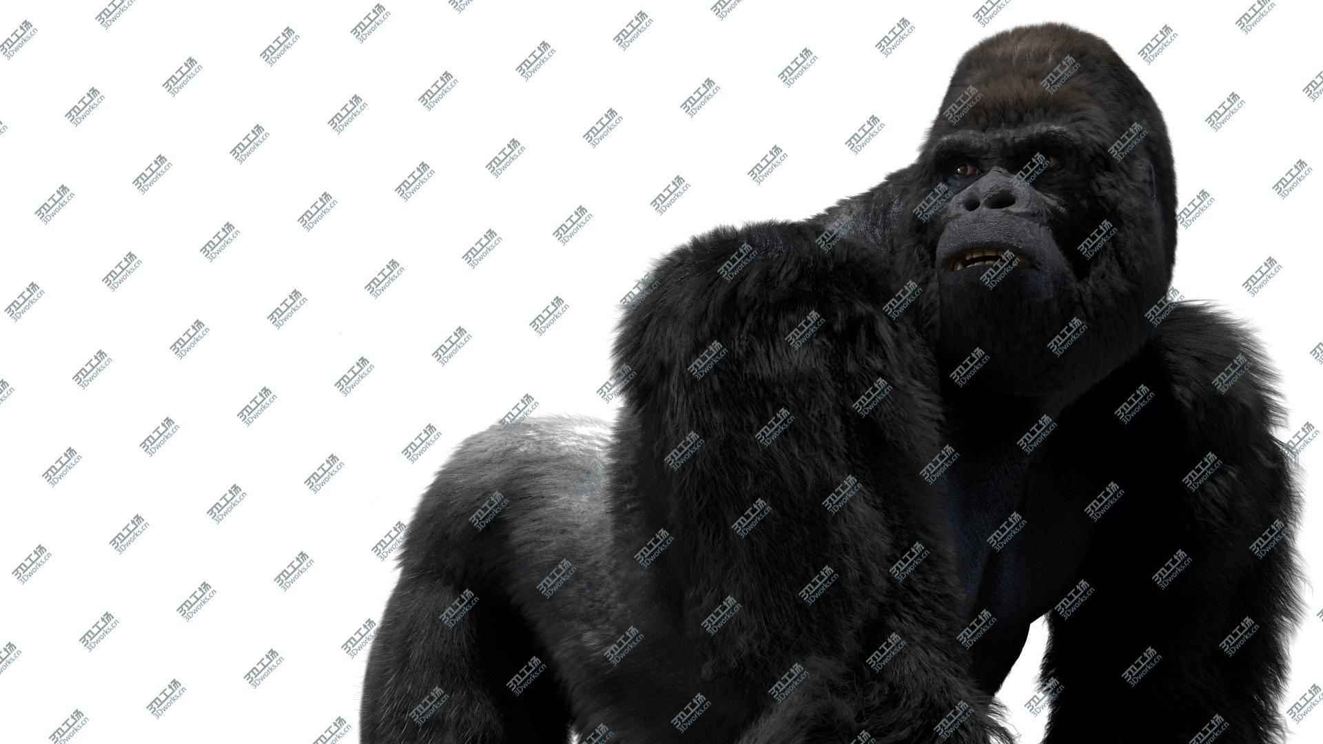 images/goods_img/20210114/Mountain Gorilla Fur (Rigged) 3D model/5.jpg
